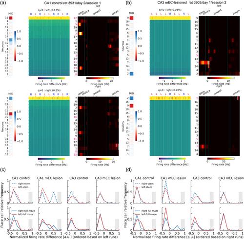 Low rate hippocampal delay period activity encodes behavioral experience