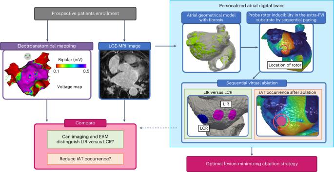 Assessing the arrhythmogenic propensity of fibrotic substrate using digital twins to inform a mechanisms-based atrial fibrillation ablation strategy