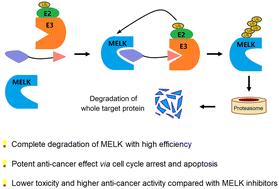 Discovery of first-in-class PROTACs targeting maternal embryonic leucine zipper kinase (MELK) for the treatment of Burkitt lymphoma†