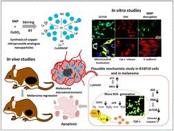Copper nitroprusside analogue nanoparticles against melanoma: detailed in vitro and in vivo investigation†