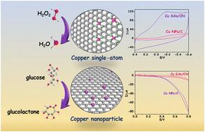 Selecting effective eletrocatalyst from Cu single-atoms and nanoparticles for realizing highly sensitive electrochemical sensing of glucose and H2O2†