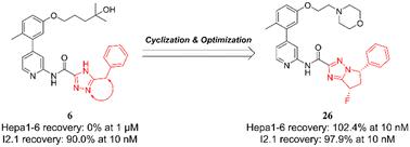 Design, synthesis, and structure–activity relationship studies of 6,7-dihydro-5H-pyrrolo[1,2-b][1,2,4]triazole derivatives as necroptosis inhibitors†