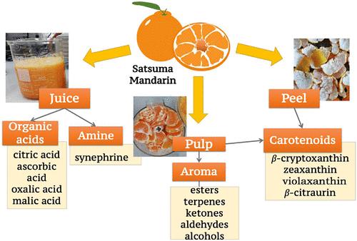 Metabolic Profile and Volatile Compounds of Four Satsuma Mandarin Varieties