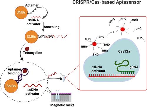 Detection of Tetracycline with a CRISPR/Cas12a Aptasensor Using a Highly Efficient Fluorescent Polystyrene Microsphere Reporter System