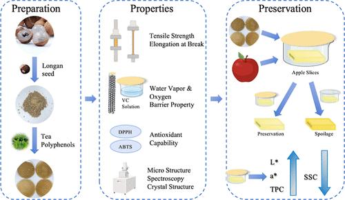 Establishing a Novel Packaging Film by Longan Seed and Tea Polyphenols: Properties and Preservation Action