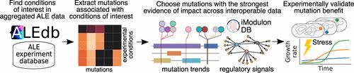 Meta-analysis Driven Strain Design for Mitigating Oxidative Stresses Important in Biomanufacturing