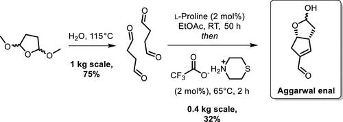 Scale-Up Investigation of Aggarwal Enal Bicyclic Intermediate Synthesis