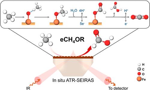 Uncovering Electrochemical Methane Oxidation Mechanism through the In Situ Detection of Reaction Intermediates