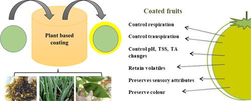 Plant-Derived Composite Edible Coatings for Prolonging the Postharvest Life of Lime (Citrus aurantiifolia) and Tomato (Solanum lycopersicum L.) under Ambient Storage