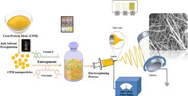 Sustainable nanofiber synthesis from corn protein meal for enhanced vitamin E and curcumin nutrient delivery in food systems†