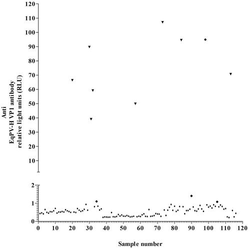 Subclinical infection and potential shedding routes of equine parvovirus-hepatitis among hospitalized horses in Austria