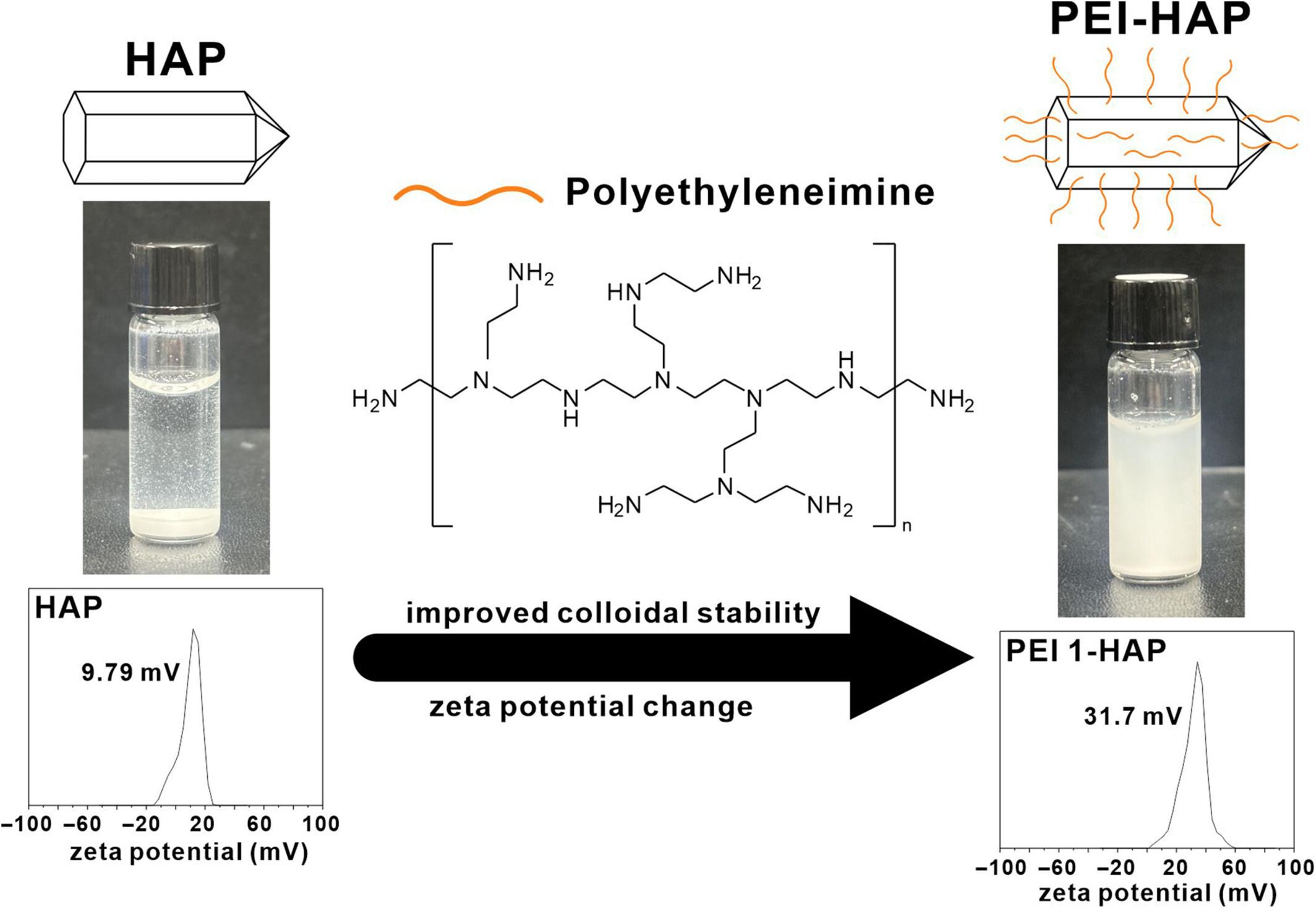 Polyethyleneimine incorporated hydroxyapatite for improved colloidal stability