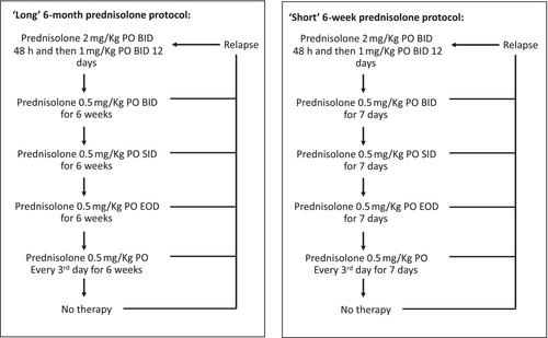 Prospective randomized trial comparing relapse rates in dogs with steroid-responsive meningitis-arteritis treated with a 6-week or 6-month prednisolone protocol