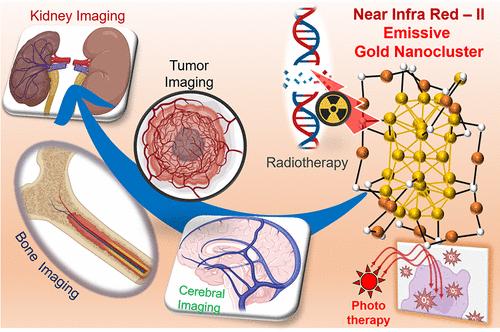 Gold Nanoclusters as High Resolution NIR-II Theranostic Agents