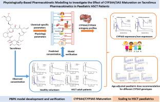 Physiologically-based pharmacokinetic modelling to investigate the effect of CYP3A4/3A5 maturation on tacrolimus pharmacokinetics in paediatric HSCT patients