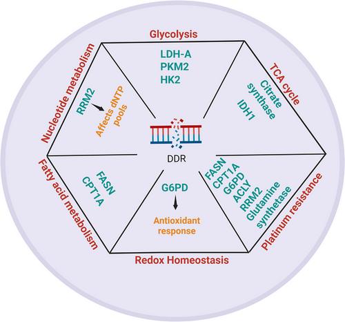 Interplay between altered metabolism and DNA damage and repair in ovarian cancer