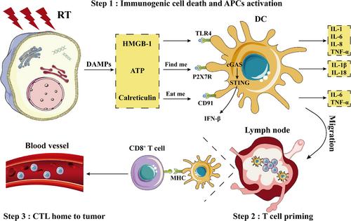 Beyond success: unveiling the hidden potential of radiotherapy and immunotherapy in solid tumors