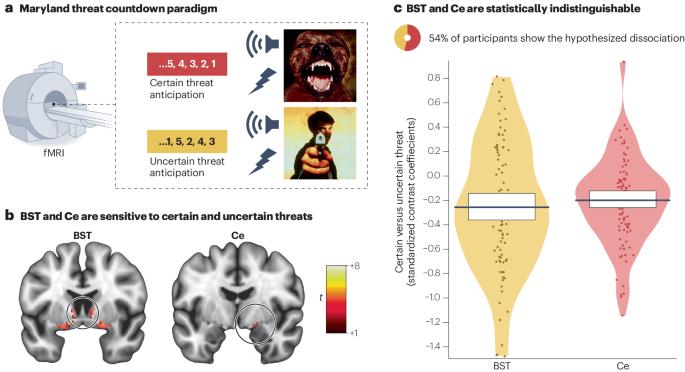 Fear, anxiety and the functional architecture of the human central extended amygdala