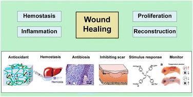 A comprehensive exploration of hydrogel applications in multi-stage skin wound healing