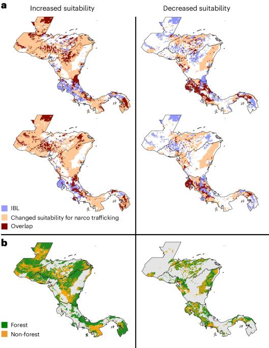 Intersection of narco trafficking, enforcement and bird conservation in the Americas