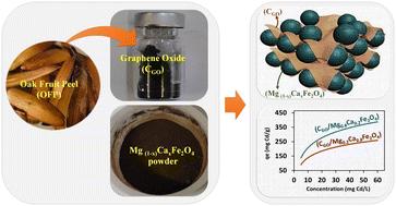 Resource utilization of oak fruit peel as biomass waste for the synthesis of carbon with graphene oxide-like composition and its composite with Mg1−xCaxFe2O4 for Cd(ii) removal from water: characterization, magnetic properties, and potential adsorption study†