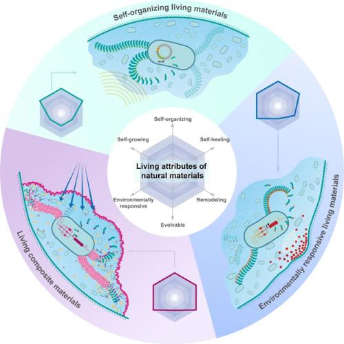 Programmable Bacterial Biofilms as Engineered Living Materials