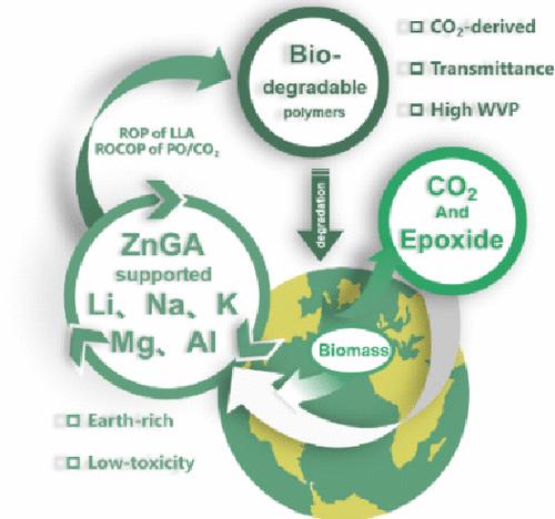 Sustainable, Recyclable, and Bench-Stable Catalytic System for Synthesis of Poly(ester-b-carbonate)