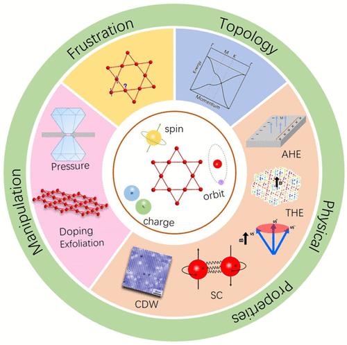 Topological Quantum Materials with Kagome Lattice