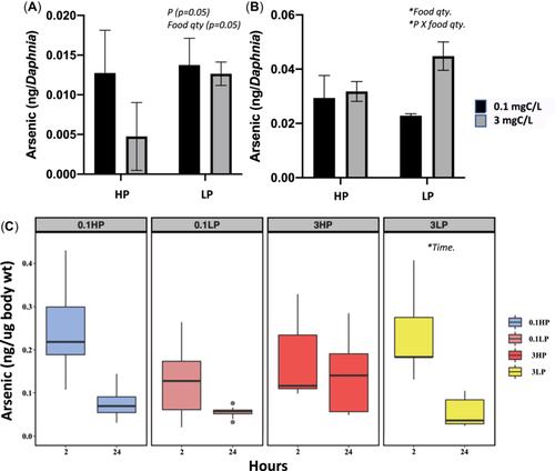 Differential Toxicity of Arsenic in Daphnia pulex Under Phosphorus and Food Limitation