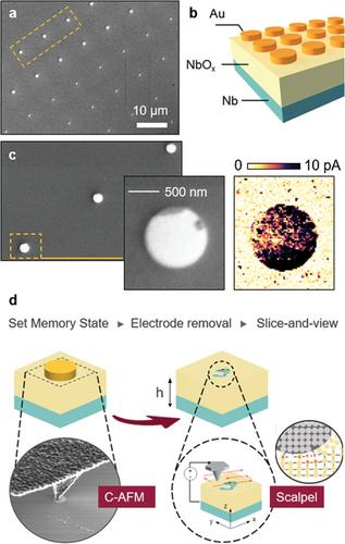 Adaptive Scalpel Scanning Probe Microscopy for Enhanced Volumetric Sensing in Tomographic Analysis