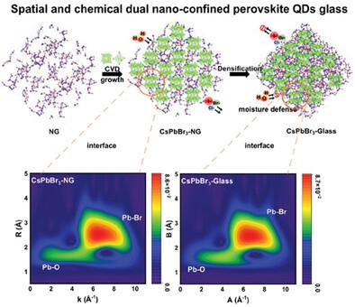 Spatial and Chemical Dual Nano-Confined Ultrastable Perovskite Quantum Dots Glass Manifesting Exciton Modulation