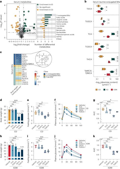 Ketogenic diet-induced bile acids protect against obesity through reduced calorie absorption