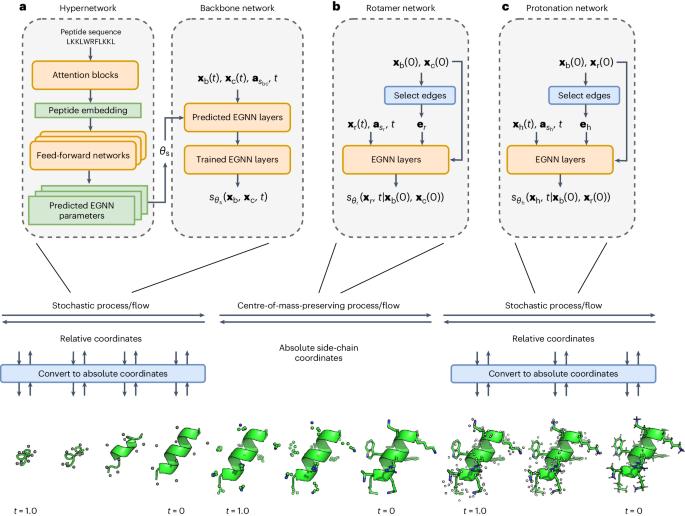 Direct conformational sampling from peptide energy landscapes through hypernetwork-conditioned diffusion