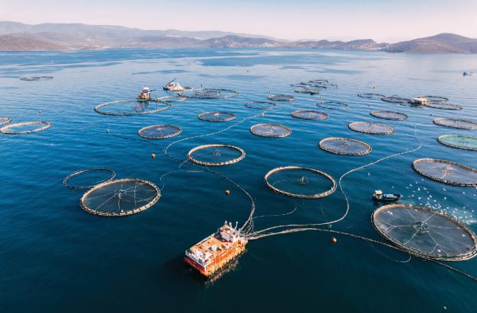 Offshore aquaculture greenhouse gas emissions based on ocean net primary productivity