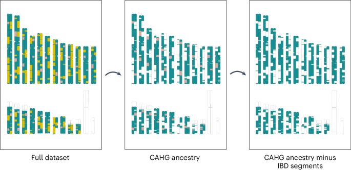 Musical instruments, tools, language and genetic data reveal ancient hunter-gatherer networks