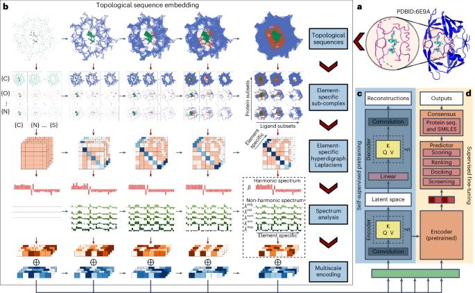 Multiscale topology-enabled structure-to-sequence transformer for protein–ligand interaction predictions