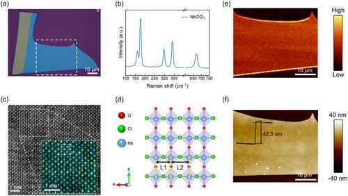 In-plane ferroelectrics enabling reduced hysteresis in monolayer MoS2 transistors