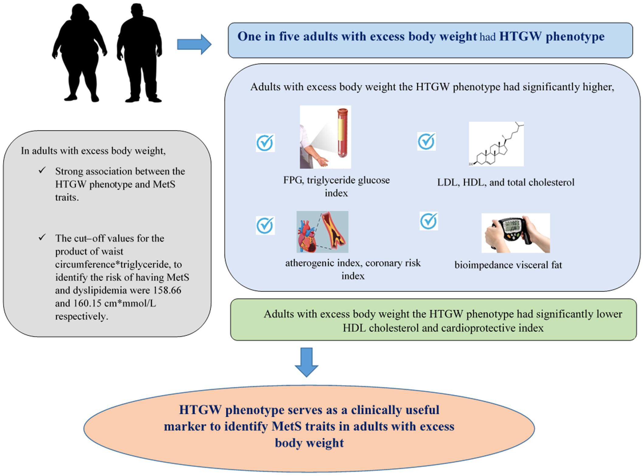 Association of hypertriglyceridemic waist phenotype with metabolic syndrome traits and its diagnostic potential to predict metabolic syndrome in adults with excess body weight: A community-based cross-sectional study