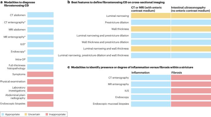 A global consensus on the definitions, diagnosis and management of fibrostenosing small bowel Crohn’s disease in clinical practice