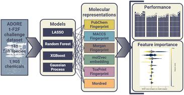 Machine learning-based prediction of fish acute mortality: implementation, interpretation, and regulatory relevance†