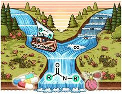 Gas–liquid tubular continuous-flow Pd-catalysed aminocarbonylation process for scalable synthesis of carboxamides†