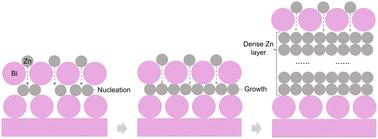 Sustainable interface regulation enabled by a bismuth solid-state surfactant effect for Zn-free anodes†