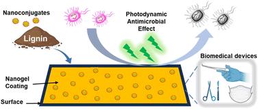 Lignin-based sustainable antifungal gel nanocoatings for disinfecting biomedical devices†