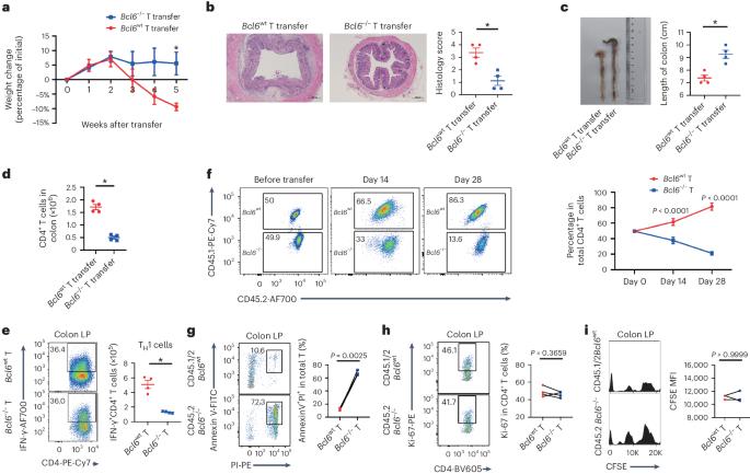 Reciprocal regulation of T follicular helper cells and dendritic cells drives colitis development