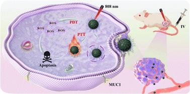 A covalent organic framework-based nanoplatform with enhanced photothermal and photodynamic performance for targeted tumor therapy†