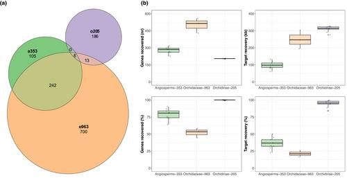 Orchidinae-205: A new genome-wide custom bait set for studying the evolution, systematics, and trade of terrestrial orchids