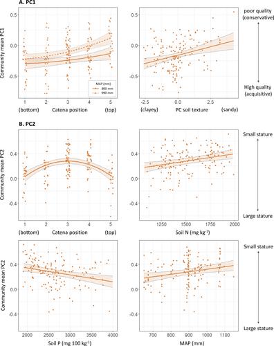 Understanding woody plant encroachment: A plant functional trait approach