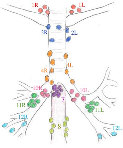 Endobronchial ultrasound-guided transbronchial fine needle aspiration of mediastinal lymphadenopathy: Diagnostic performance and clinical implications of the World Health Organization reporting system