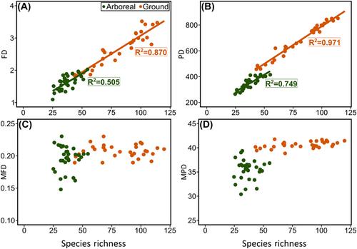 Macroecological patterns of functional and phylogenetic diversity vary between ground and arboreal assemblages in Neotropical savanna ants