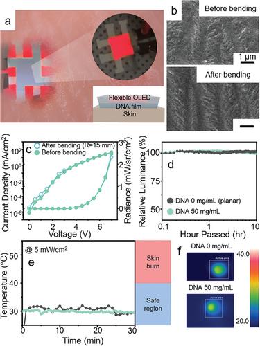 Highly Efficient Organic Light–Emitting Diode Using DNA as Scattering Layer